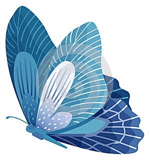 Blue butterfly flying. Beautiful patterned insect wings