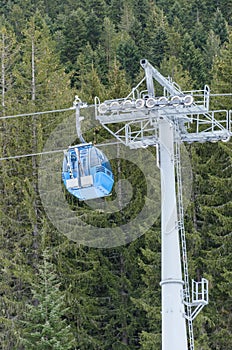 Blue cable car lift at ski resort among pine trees