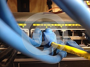 Blue Cables Going to Network Switch, IT Data Wires