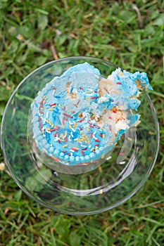 Blue Cake Smash First Birthday Remains