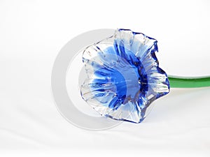 Blue glass calyx flower photo