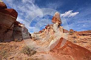 Blue Canyon, section of Moenkopi Wash in northeast Arizona