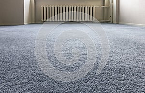 Blue Carpet Floor
