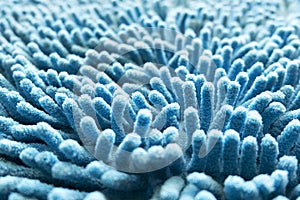 Blue carpet softness texture of doormat, select focus close-up image
