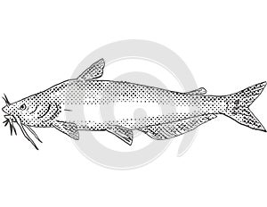 Blue catfish or Ictalurus furcatus Freshwater Fish Drawing photo