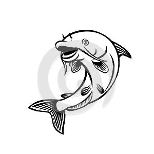 Blue Catfish Ictalurus Furcatus Jumping Up Cartoon Black and White photo