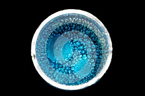 Blue cells dividing form three bigger ones