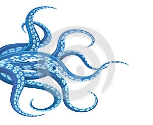 Blue cephalopod tentacles photo