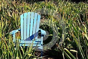 Blue chair photo