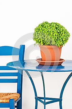 Blue chair and table with basil flowerpot