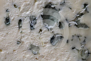 Blue cheese background and texture in the cut, top view, closeup, macro