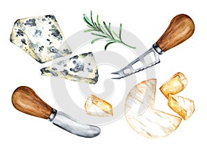 Blue cheese and bri cheese isolated on white. Watercolor illustration