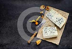 Blue Cheese Gorgonzola on Copy Space photo