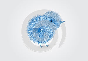 Blue chick logo vector design