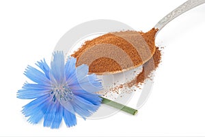 Blue chicory flower and powder of instant chicory photo