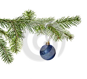 Blue Christmas ball decoration hanging on pine branch