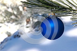 Blu palla di natale nevoso pino un albero 