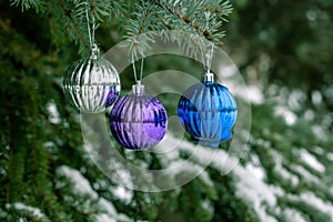 Blue Christmas balls on a snow-covered tree branch