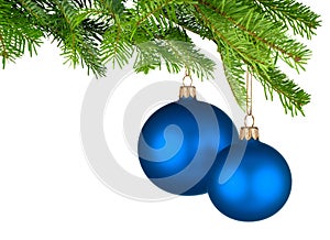 Blue Christmas baubles hanging from fresh green twigs