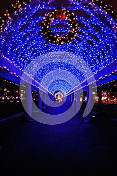 Blue Christmas Lights in Boston