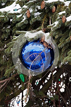 Blue Christmas ornament in snow covered tree