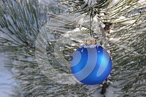 Blue Christmas Ornament in Snowy Pine Tree