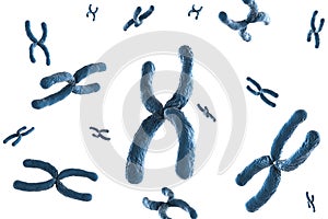 Blue chromosome photo
