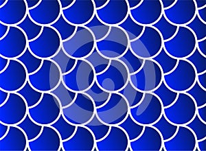 Blue Circle Fish Texture Gradient