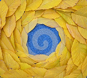 Blue circle with yellow elm leaf border - autumn mock up