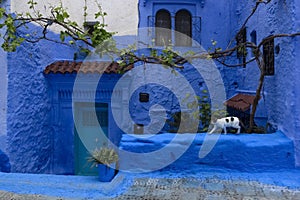 Blue City Chefchaouen. Morocco, Africa