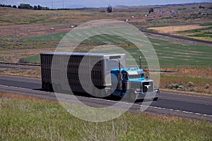 Blue Classic Peterbilt / Livestock Trailer