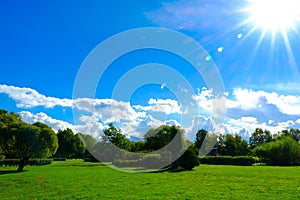 Blue clear sky. The sun`s rays over the Park, green grass and trees.
