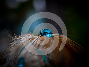 Blue and clear waterdrops