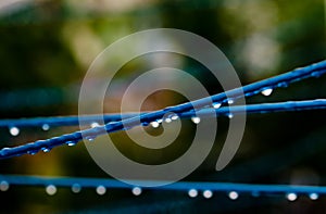 Blue clothing lines of a clothes spin with many raindrops at the string in front of a green background, after the rain. Retro way