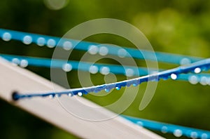 Blue clothing lines of a clothes spin with many raindrops at the string in front of a green background, after the rain. Retro way