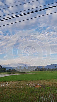 Blue Cloudy Sky in Ricefield