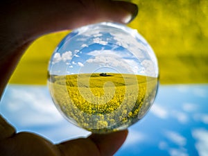 Blue Cloudy Sky and Yellow Fields Through Lensball