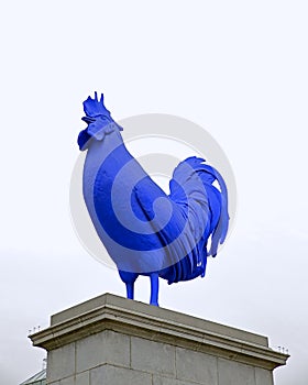 The Blue Cockerel