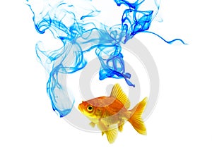 Blue Color Ink And Goldfish