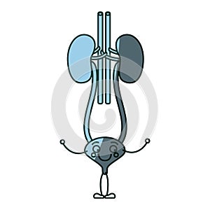 Blue color shading silhouette caricature renal system with urethra