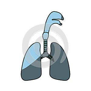 Blue color shading silhouette respiratory system with windpipe photo