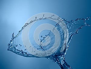 Blue color water splash isolated on empty background, studio photo