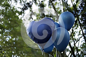Blue colored balloons - birthday party and revelation tea