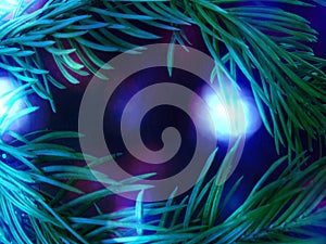 Blue colored christmas background with Christmas tree branch in green.