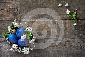 Blue colored easter eggs in a nest with willow branches and spring flowers