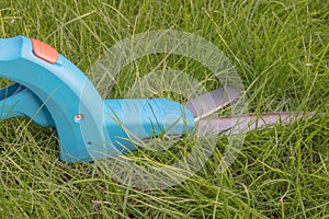Grass shears or edging shears, lying in the lawn before its use.