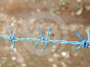 Blue colored metal fencing