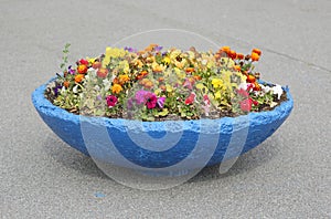 Blue concrete flowerbed with flowers stands on the asphalt sidewalk