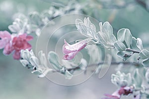 Blue cool tone tiny very beautiful romantic wedding lovely branch with leaves and flowers on blur light natural background macro w