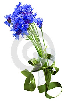 Blue corn flowers bouquet in vase